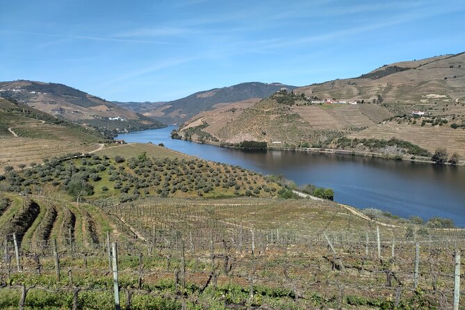 Complete Private Douro Valley Wine Tour - How much value do you get for $201.76?