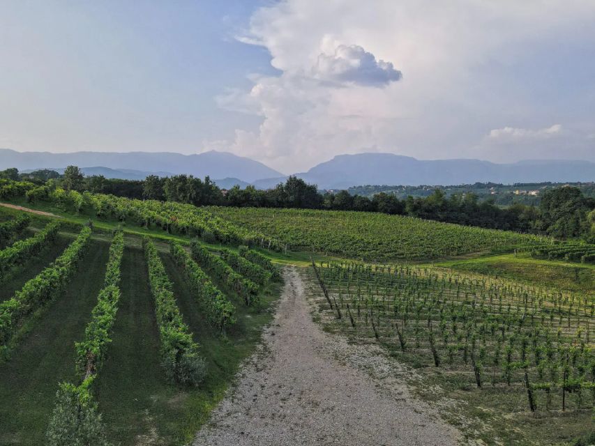 Conegliano: Prosecco Hills and Vineyards tour - Key points at a glance