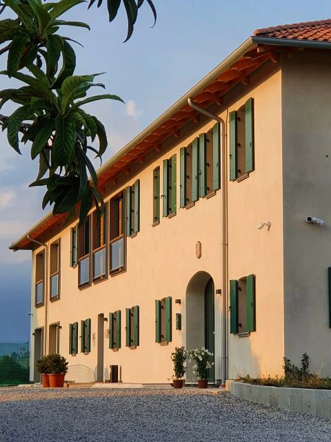 Conegliano: Prosecco Hills and Vineyards tour - Why the Conegliano hills matter to the tasting