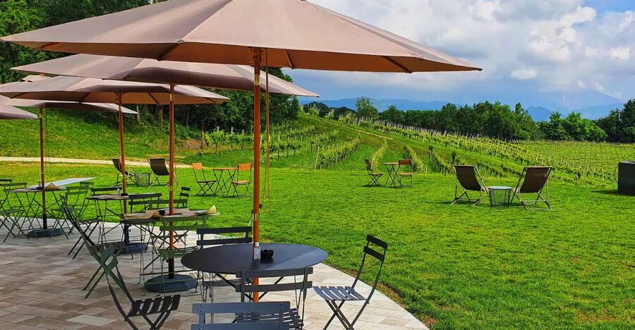 Conegliano: Prosecco Hills and Vineyards tour - Walking to the ancient hilltop
