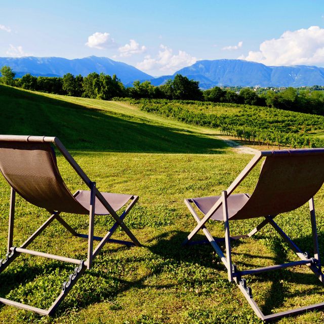 Conegliano: Prosecco Hills and Vineyards tour - What the $34 price really covers