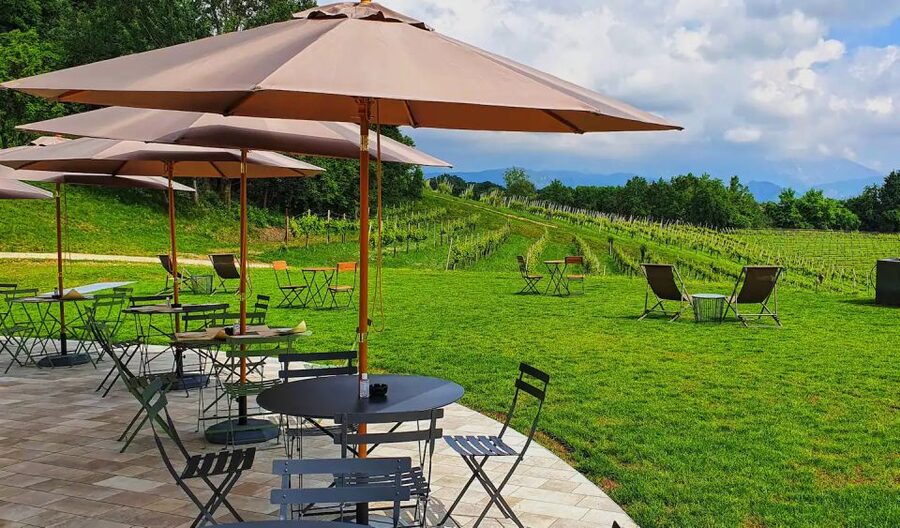 Conegliano: Prosecco Hills and Vineyards tour - Who should book this Prosecco tour