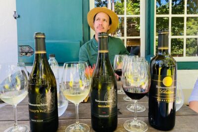 Constantia Wine Walk Storytelling Vineyard Tour with Lunch