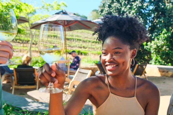 Constantia Wine Walk Storytelling Vineyard Tour with Lunch - What the $143.78 price includes