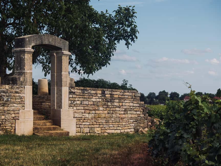 Côte de Nuits: Excursion in the heart of the vineyards - Why this short Côte de Nuits tour works