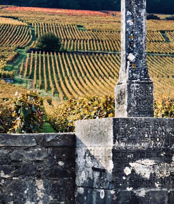 Côte de Nuits: Excursion in the heart of the vineyards - What the guide adds to the scenery