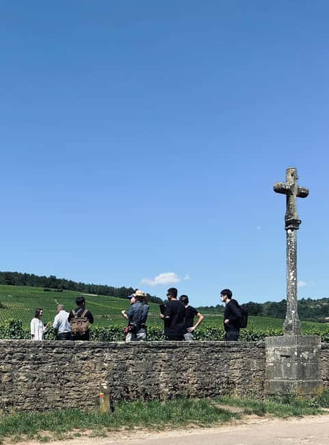 Côte de Nuits: Excursion in the heart of the vineyards - Famous vineyard names from the minivan