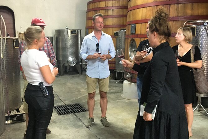 Côtes de Provence Small Group Day Trip with Winery Visits & Tastings from Nice - Why the guide matters so much