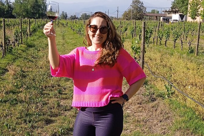 Cousiño Macul Vineyard - Maipo Valley - Premium Tasting - HD - The private pickup and drive