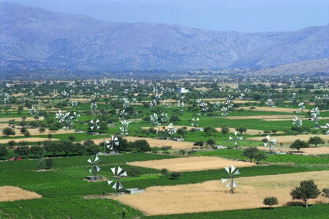 Crete in a Day: Knossos, Soap Workshops, Olive Oil & Wine Tasting - Who should book this day