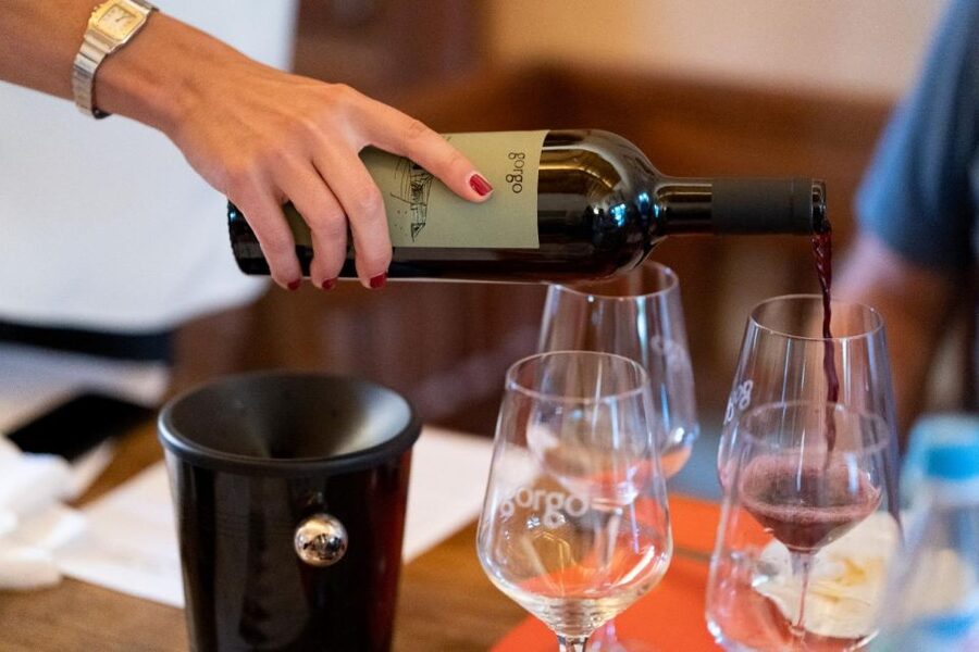 Custoza: Organic Wine Tasting with Vineyard and Cellar Tour - Key points to know before you book