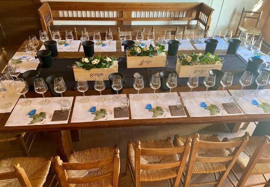 Custoza: Organic Wine Tasting with Vineyard and Cellar Tour - A short wine visit with a clear sense of place