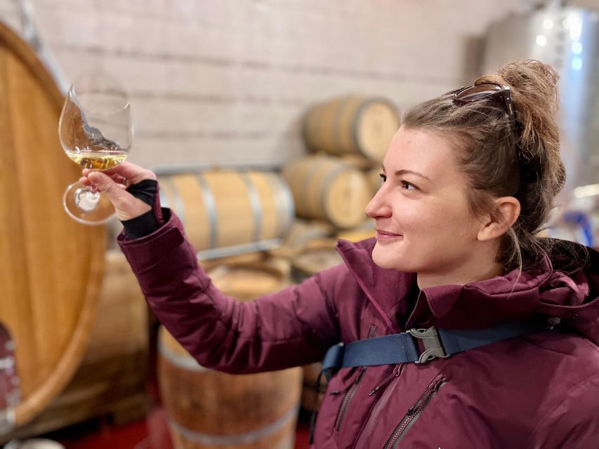 Czech Vineyards and Wine Tasting 4WD Tour with Lunch - Vineyards among volcanic hills