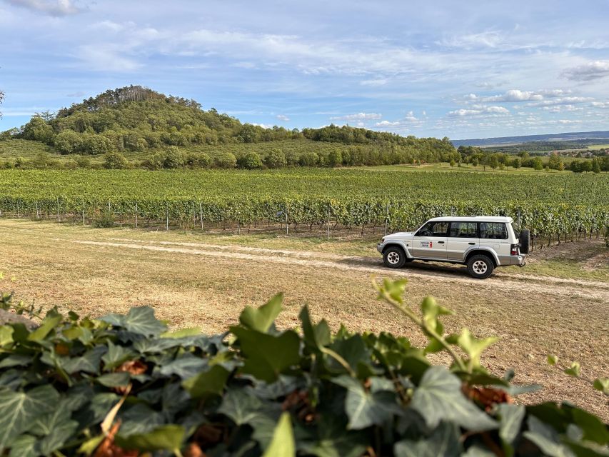 Czech Vineyards and Wine Tasting 4WD Tour with Lunch - Five castles and a quiet Jewish cemetery