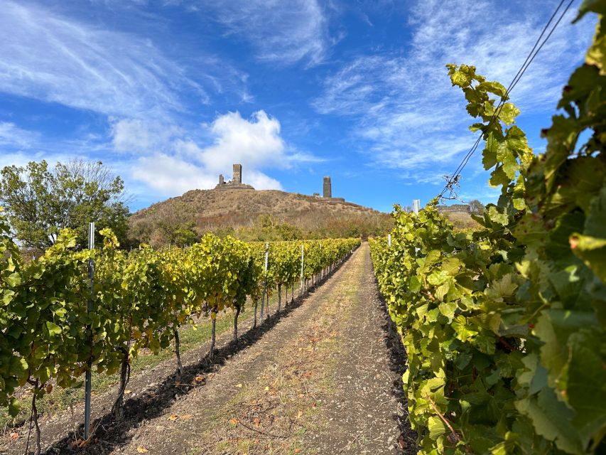 Czech Vineyards and Wine Tasting 4WD Tour with Lunch - What the $387 price includes