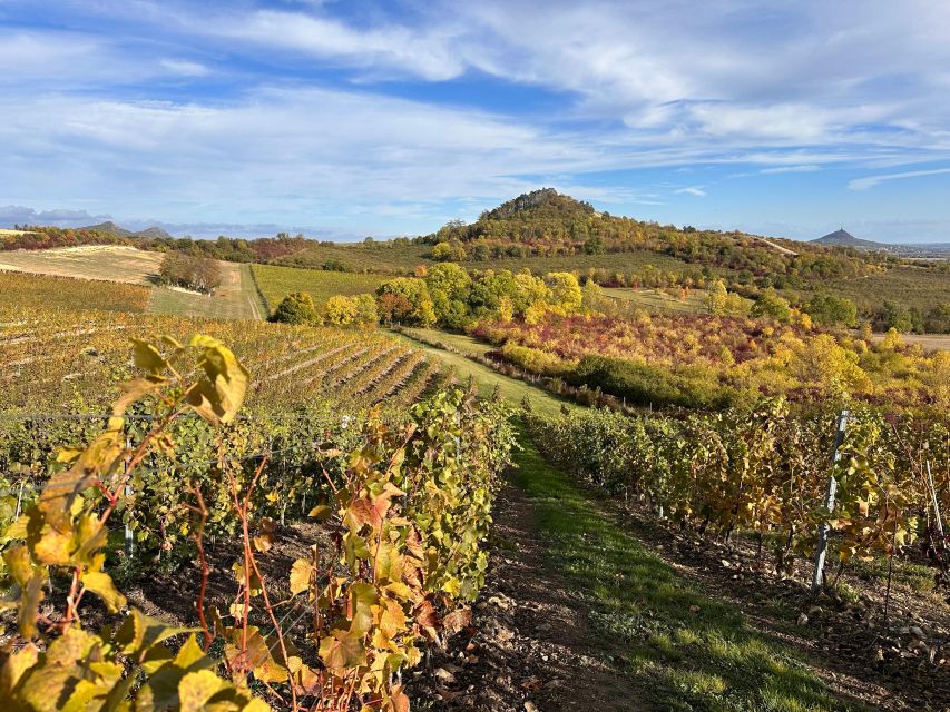 Czech Vineyards and Wine Tasting 4WD Tour with Lunch - Who will enjoy this day most