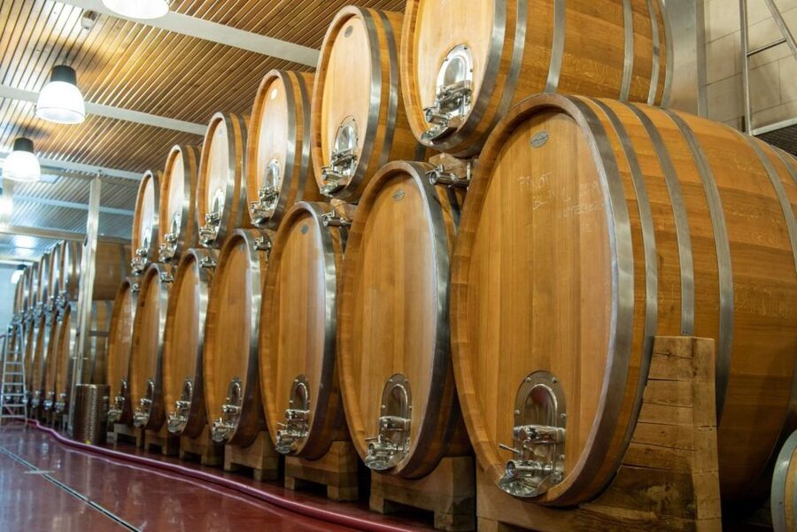 Czech Vineyards and Wine Tasting 4WD Tour with Lunch - Small details that improve the experience