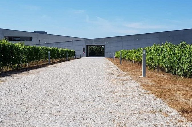 Dão Wine Region: Portuguese version on Bordeaux - Maria’s role makes the day more personal