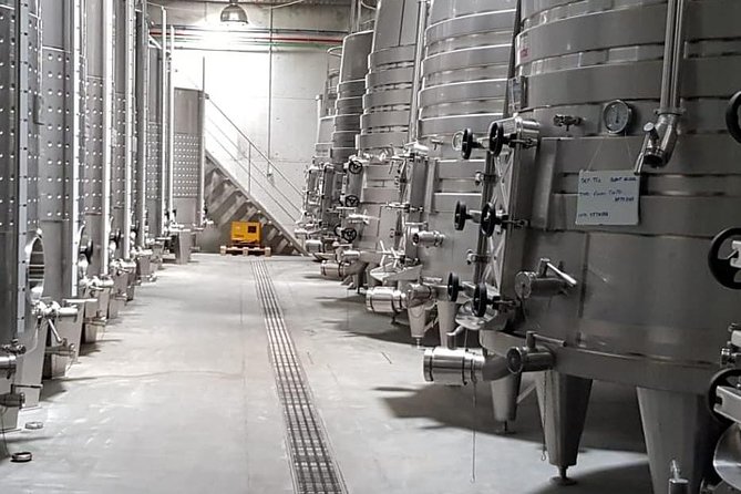 Dão Wine Region: Portuguese version on Bordeaux - What happens in Viseu and the Dão vineyards