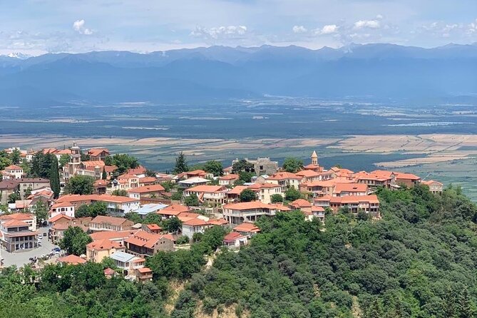 Day tour to Kakheti wine region Georgia - The Pirosmani Museum and Georgia’s outsider painter