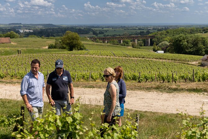 Day Trip to the Sancerre and Pouilly Vineyards - Why this Loire wine day feels different