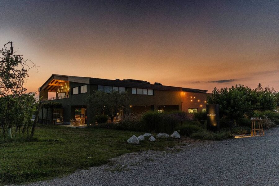 Desenzano: Lugana Wine-Tasting and Vineyard Tour - Key points to know before booking