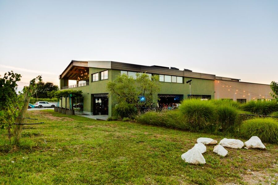 Desenzano: Lugana Wine-Tasting and Vineyard Tour - Who should book this winery tour