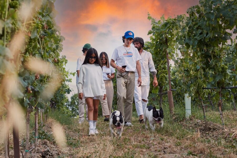 Desenzano: Lugana Wine-Tasting and Vineyard Tour - Why this Lugana visit is worth your time