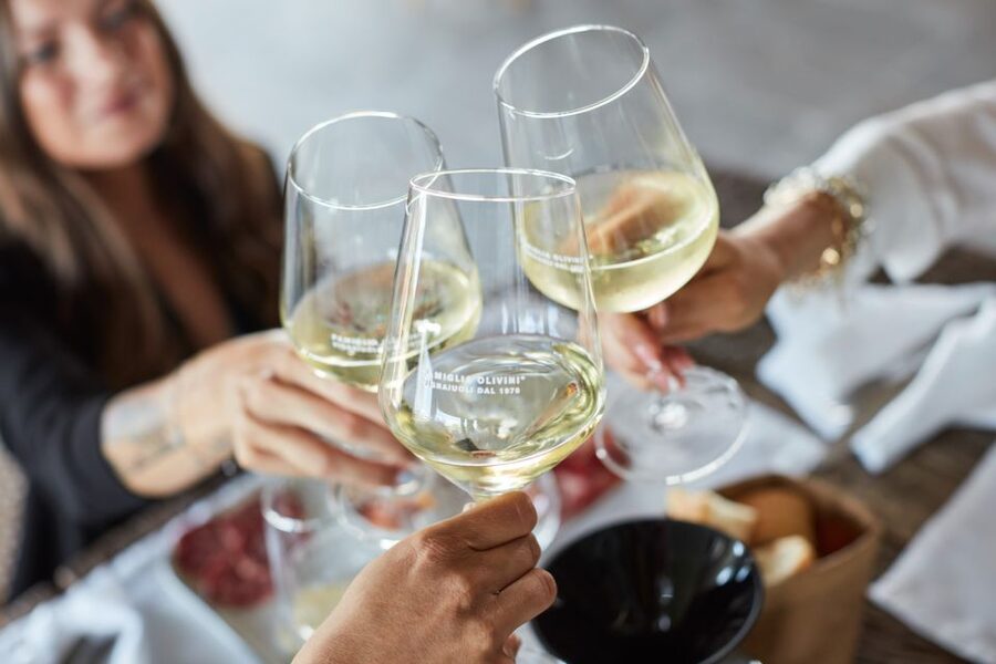 Desenzano: Lugana Wine-Tasting and Vineyard Tour - Walking through sustainable vineyards
