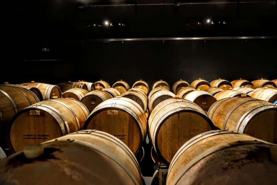 Desenzano: Lugana Wine-Tasting and Vineyard Tour - The guide and the pace of the visit