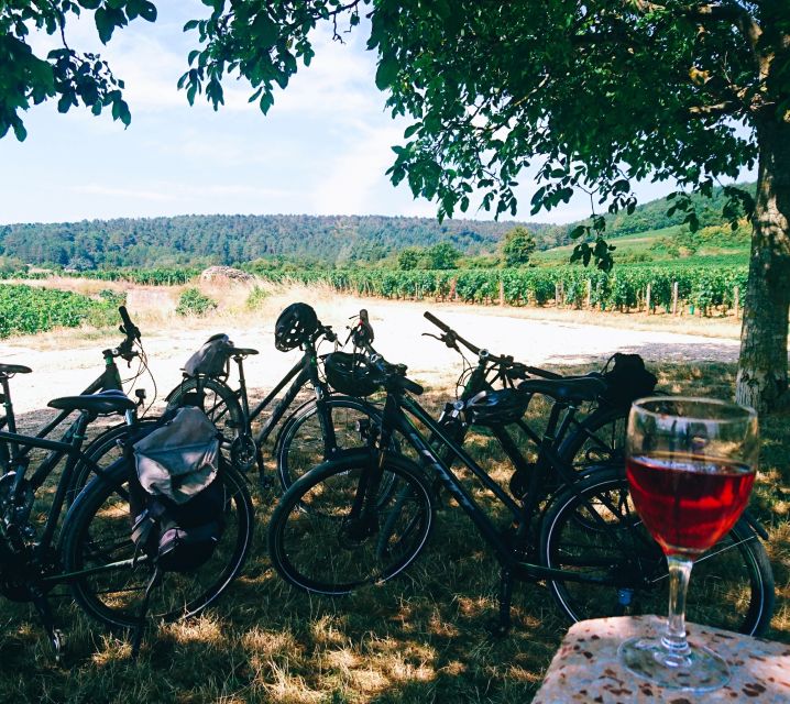 Dijon: Bike tour and Tastings in the Vineyards of Burgundy - Marsannay-la-Côte and the first vineyard views