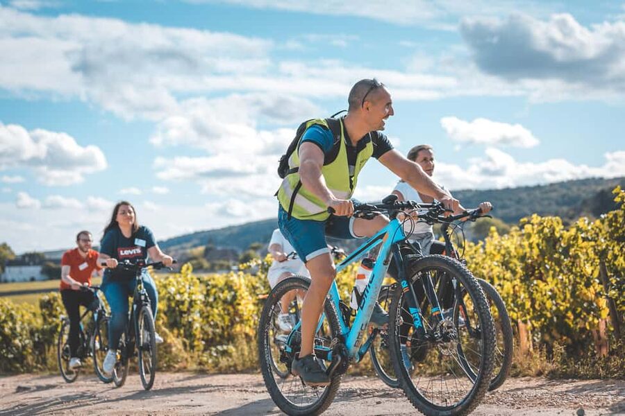 Dijon: Bike tour and Tastings in the Vineyards of Burgundy - Gevrey-Chambertin and the meaning of the names