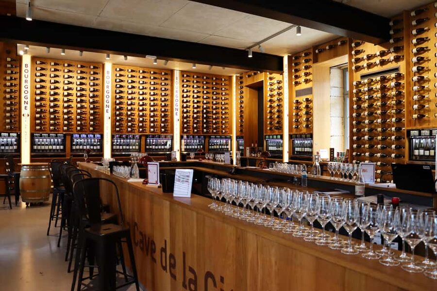 Dijon: Walking tour of the metropolitan vineyards - The Burgundy Grape Variety Conservatory