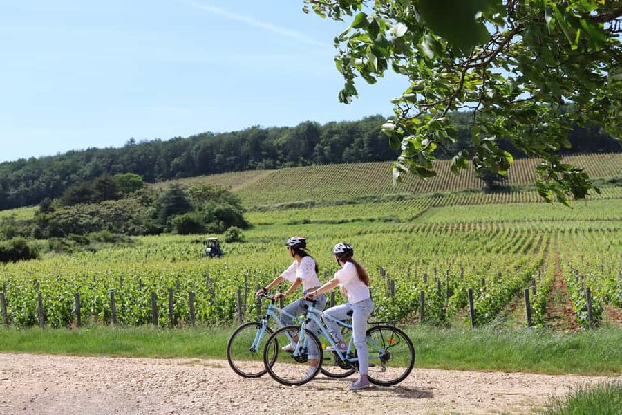 Dijon: Walking tour of the metropolitan vineyards - A small group makes a difference