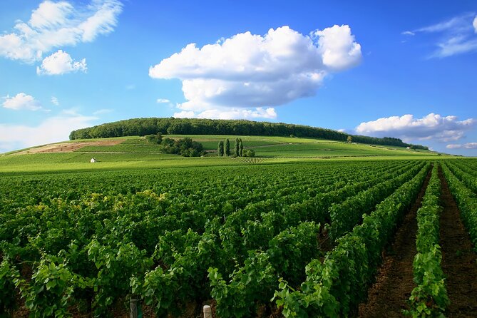 Dijon Wine Tour Côte de Nuits and Côte de Beaune Vineyards - Why this Burgundy route works so well