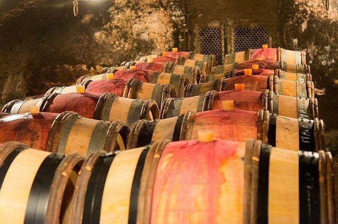 Dijon Wine Tour Côte de Nuits and Côte de Beaune Vineyards - What the guide adds to the day