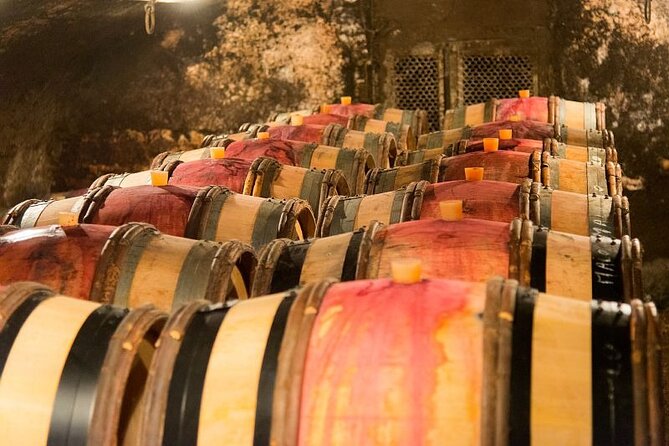Dijon Wine Tour Côte de Nuits and Côte de Beaune Vineyards - Price, comfort, and overall value