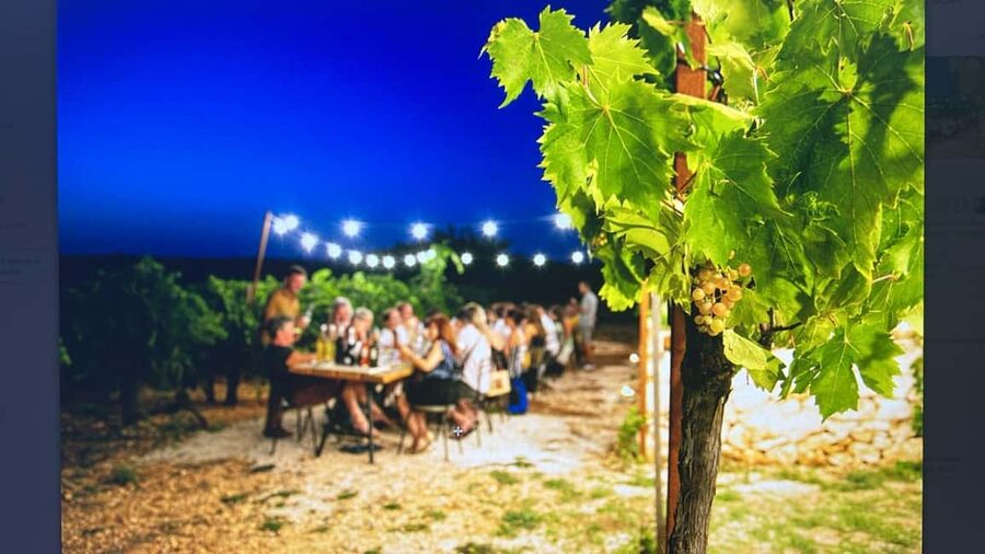 Dinner in the vineyard and wine tasting under the stars - Handmade orecchiette, the Apulian classic