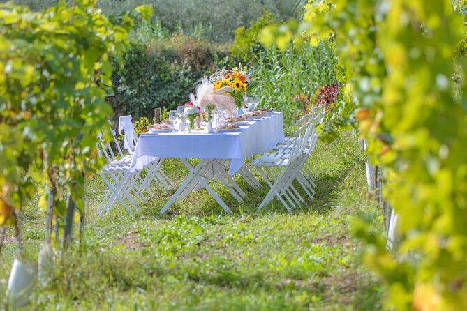 Dinner in the Vineyard French Riviera - Why the location details matter