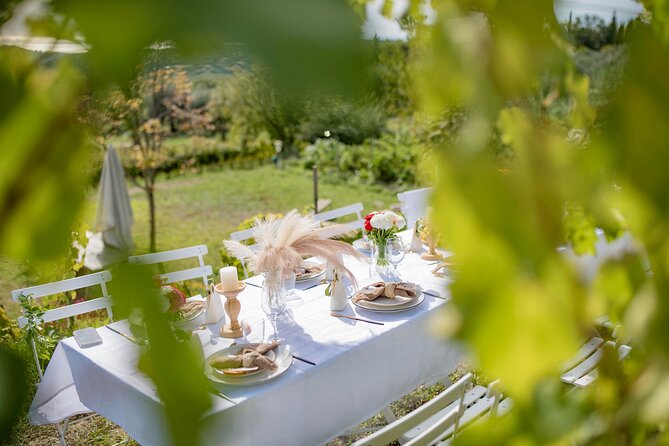 Dinner in the Vineyard French Riviera - Is $268.91 a fair price?