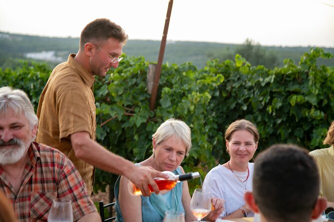 Dinner in the vineyard with wine tasting and walk - Timing, weather, and practical planning