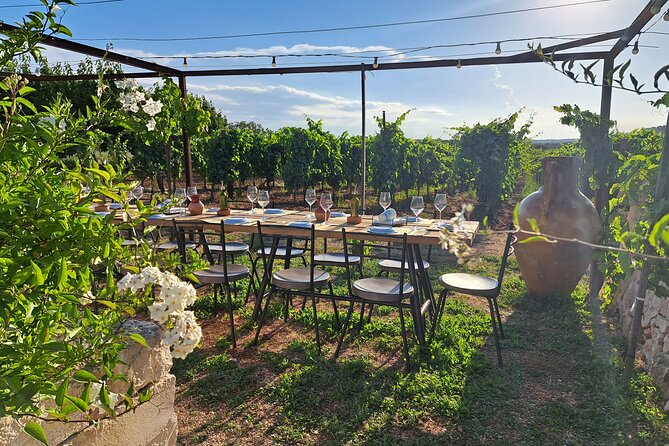 Dinner in the vineyard with wine tasting and walk - Five starters that set the tone