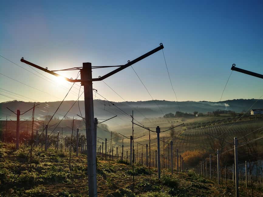 Discover Abruzzo and Castelferrato: Visit Vineyards and Wine Tasting - Key points to know before you book