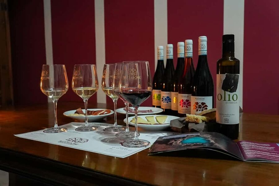 Discover Abruzzo and Castelferrato: Visit Vineyards and Wine Tasting - From grape rows to the winery cellar