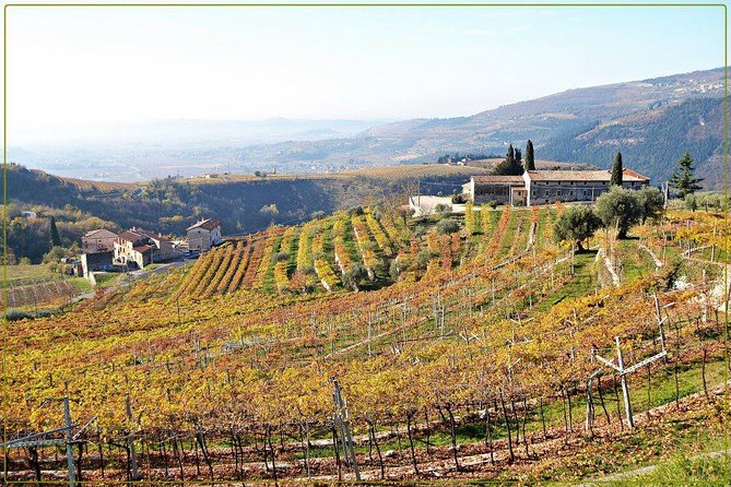 Discover Valpolicella Vineyards and Wine Tasting Experience - Is $84.69 a fair price?