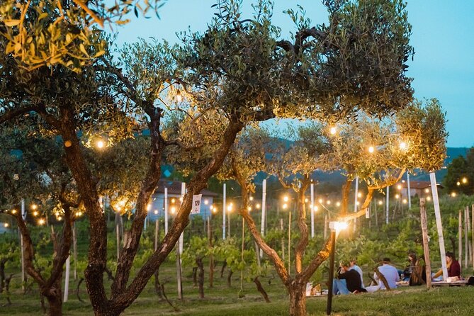 Discovering LeonardoDaVinci's Origins & Aperitif among Vineyards - What the $114.15 price really covers