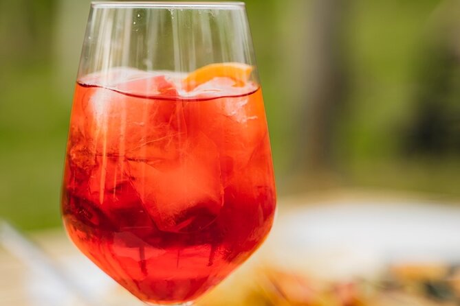 Discovering LeonardoDaVinci's Origins & Aperitif among Vineyards - Who should book this Vinci tour?