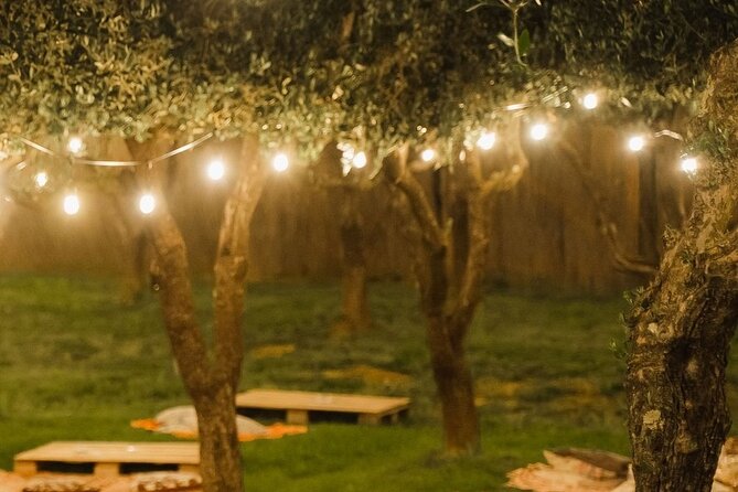 Discovering LeonardoDaVinci's Origins & Aperitif among Vineyards - Should you book it?