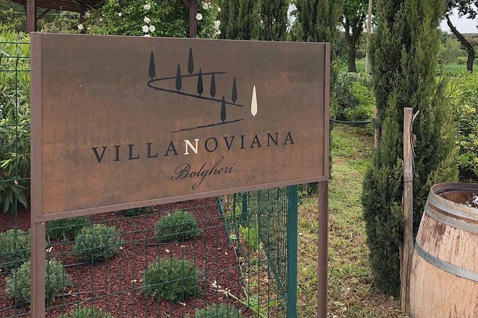 Discovering the Bolgheri vineyards and tasting local products - The 90-minute route from vineyard to barrel room
