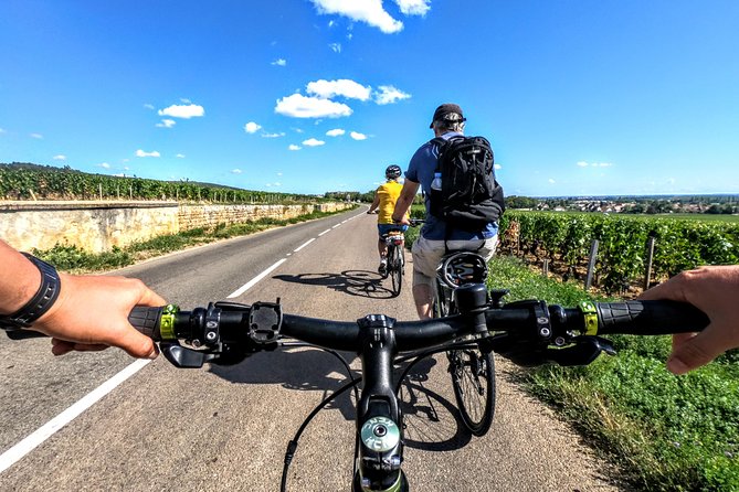 Discovery by bike & Tasting in the vineyards - Key points to know before booking
